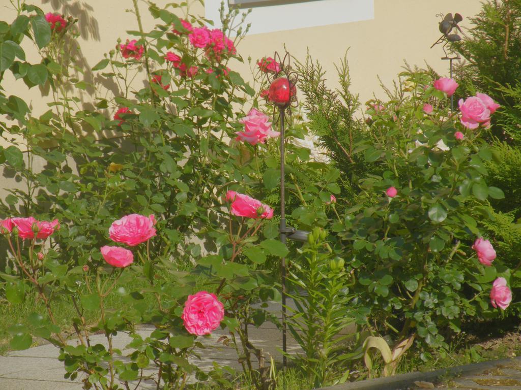 Bed and Breakfast Am Lindenbaum Зебниц Экстерьер фото